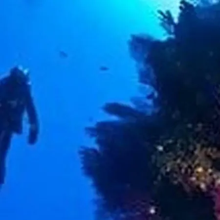 Winter Palace * مينتون