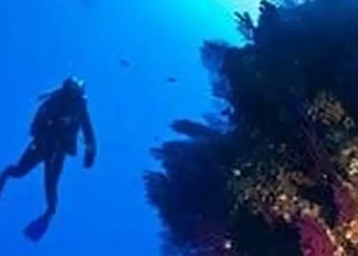 Winter Palace * Menton